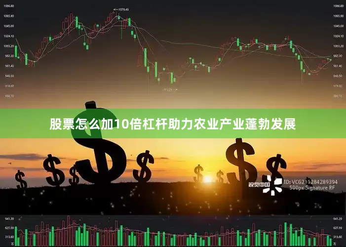 股票怎么加10倍杠杆助力农业产业蓬勃发展
