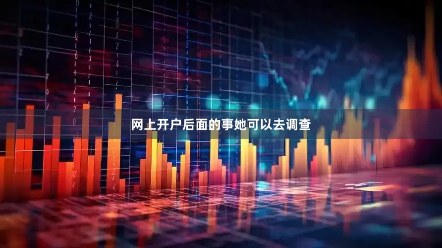 网上开户后面的事她可以去调查