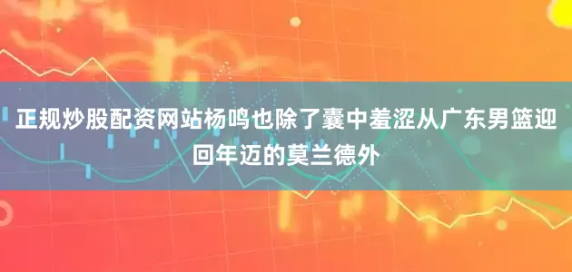 正规炒股配资网站杨鸣也除了囊中羞涩从广东男篮迎回年迈的莫兰德外