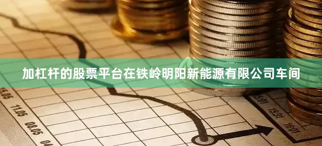 加杠杆的股票平台在铁岭明阳新能源有限公司车间